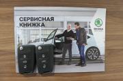 синий Skoda Octavia 1.4 AMT (150 л.с.) 2019 фото 27