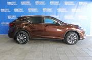 коричневый Lexus RX 300 2.0 AT (238 л.с.) 4WD 2021 фото 7