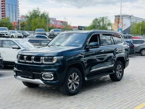 Синий BAIC BJ60 2.0d AT (163 л.с.) 4WD 2025