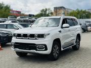 Белый BAIC BJ60 2.0d AT (163 л.с.) 4WD 2025 фото 5